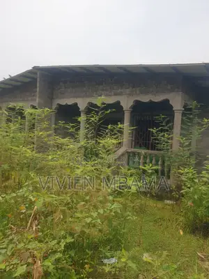 Parcelle a Mongo Poukou