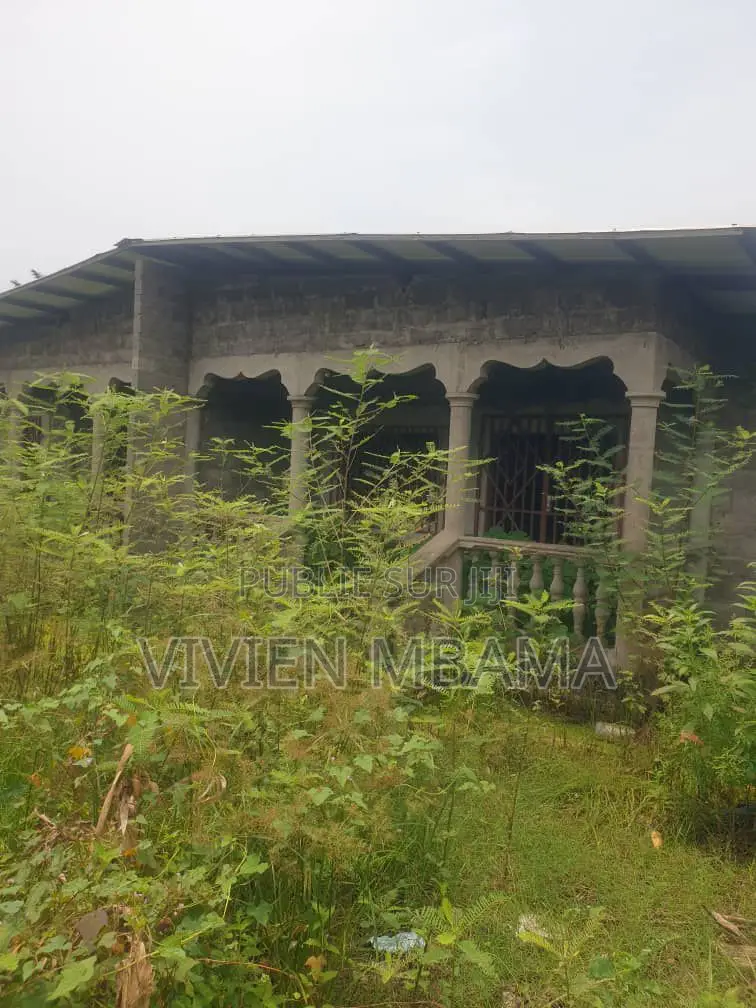 Parcelle a Mongo Poukou