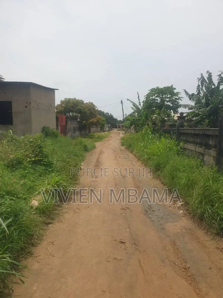 Parcelle a Mongo Poukou