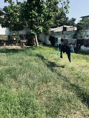 Demi Terrain a La Rafinnerie