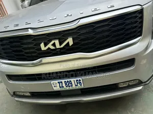 Kia Telluride 2020 Gris