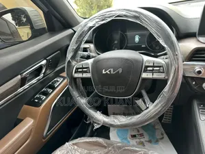 Kia Telluride 2020 Gris