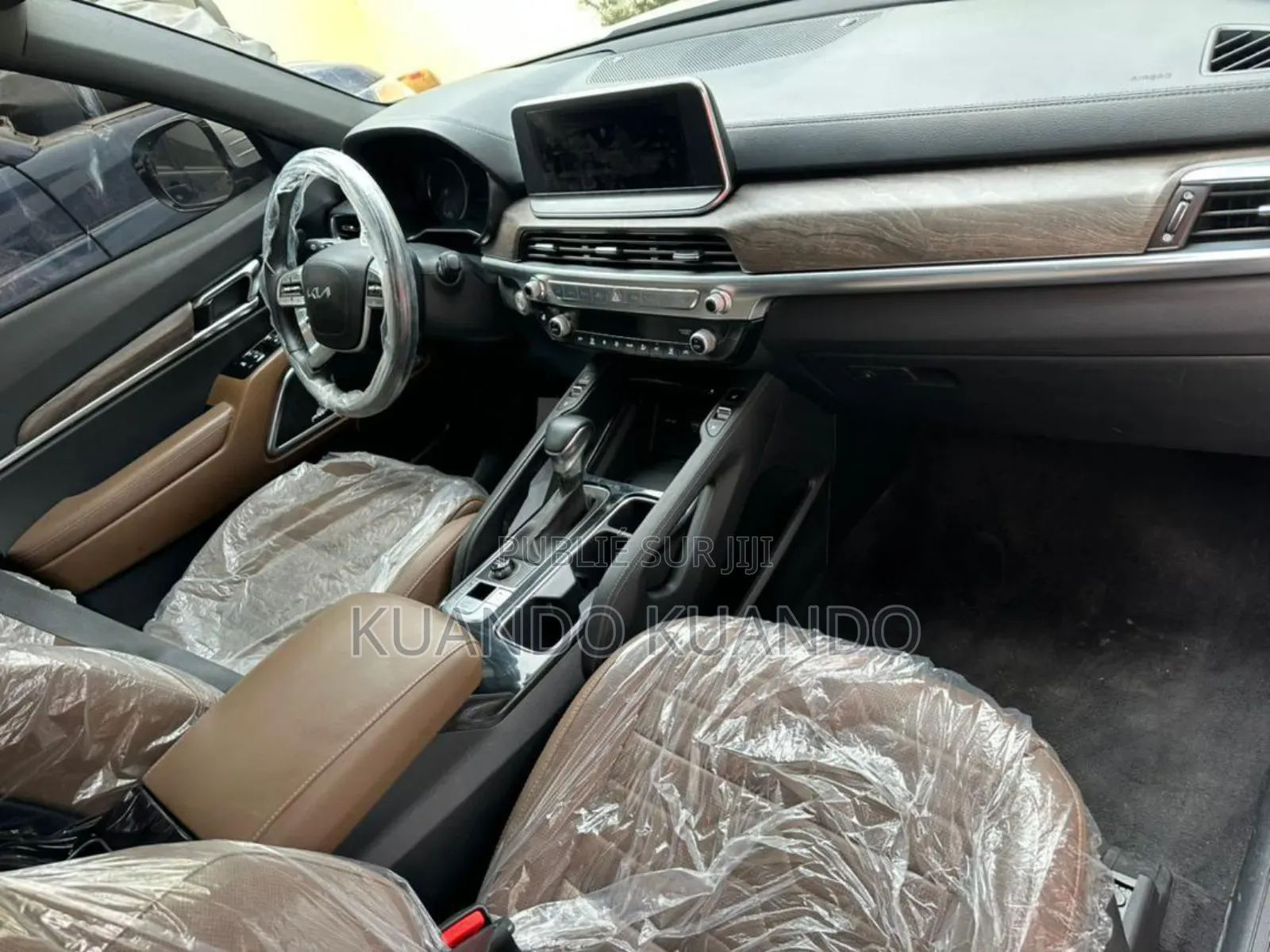 Kia Telluride 2020 Gris