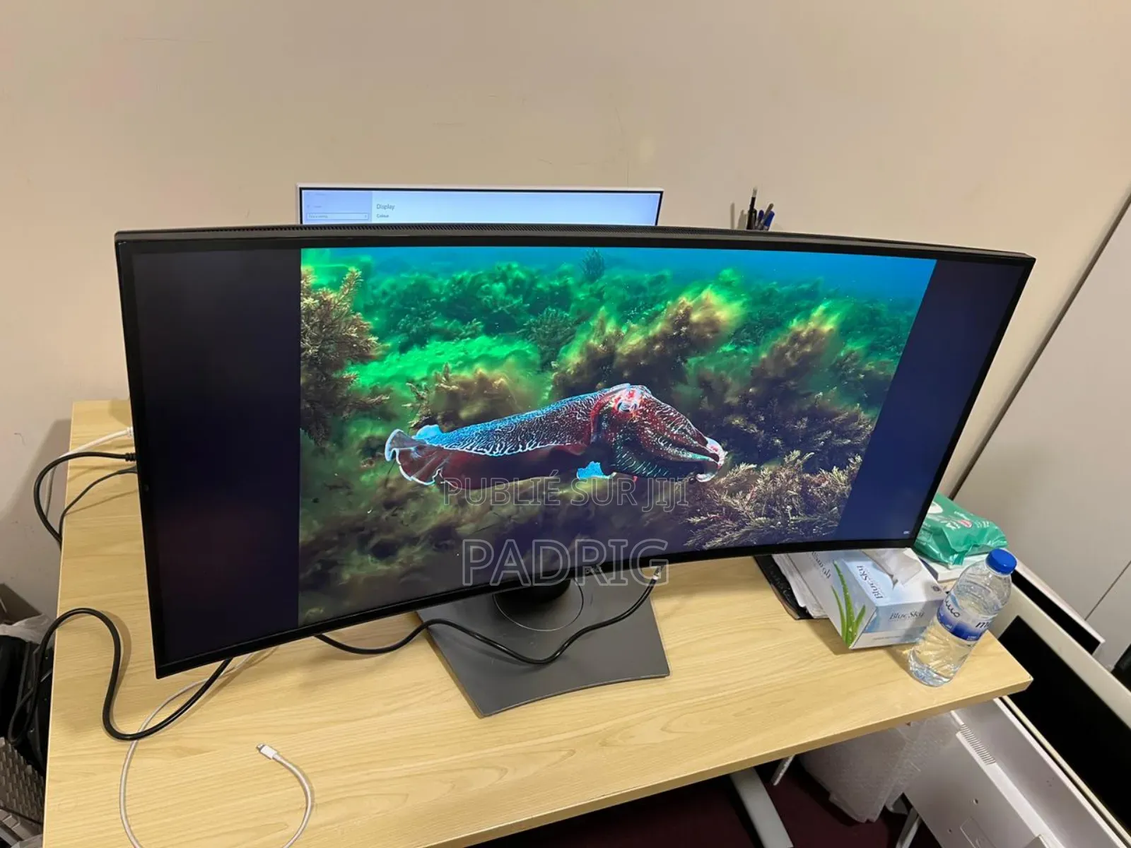 Dell 38" Incurvé