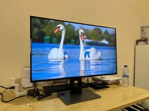 Dell 32" Plat