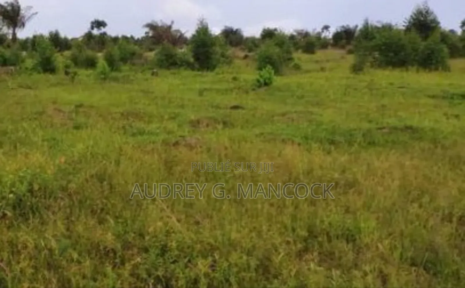 À Vendre – Diosso (Pointe-noire)