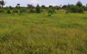 À Vendre – Diosso (Pointe-noire)