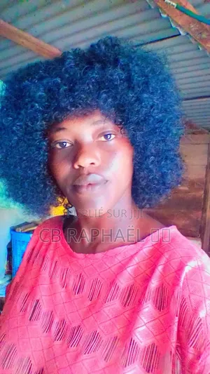 Perruque Gaufre Effet Afro