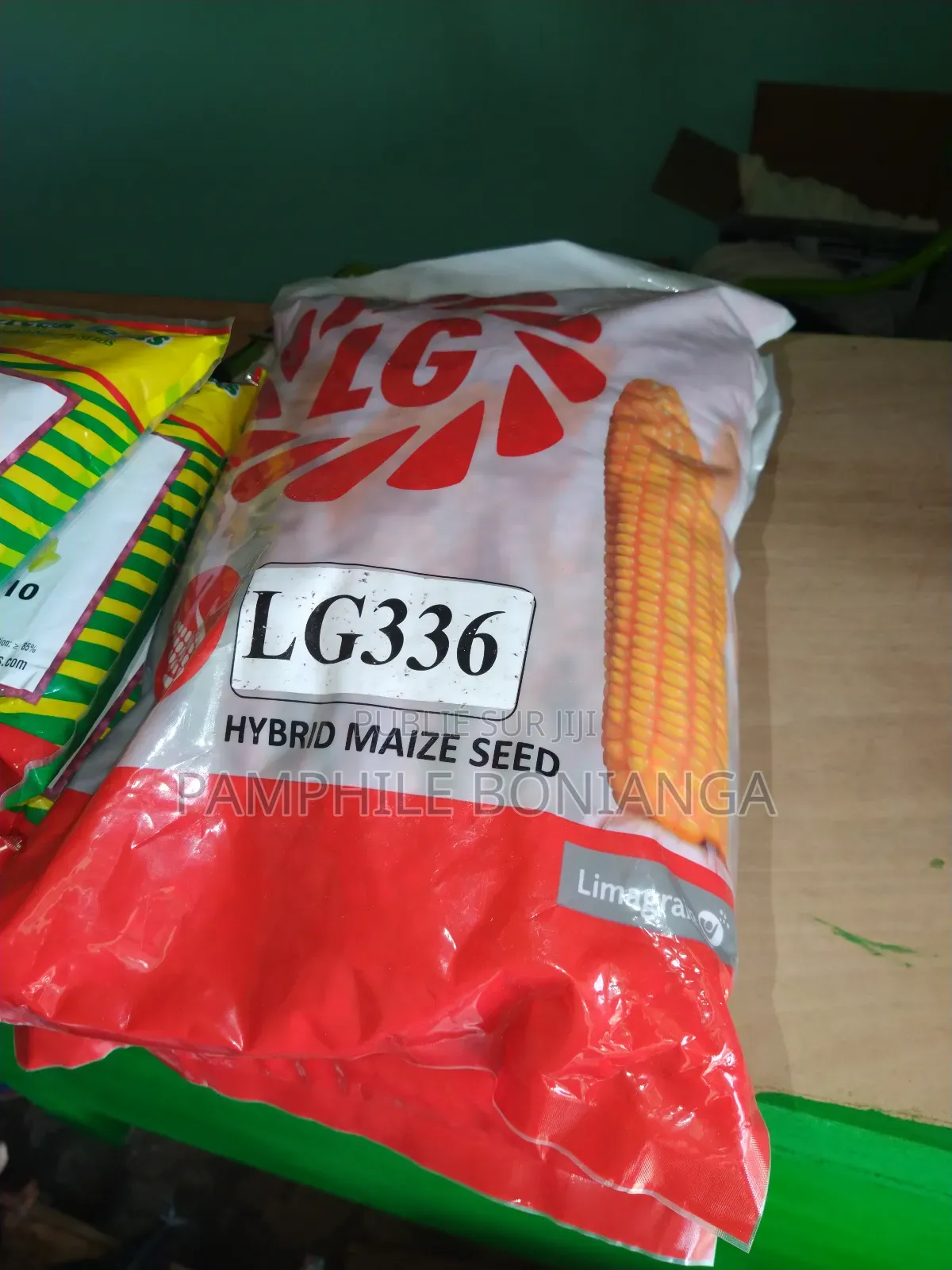 Semences De Maïs en Vente a Un Bon Prix