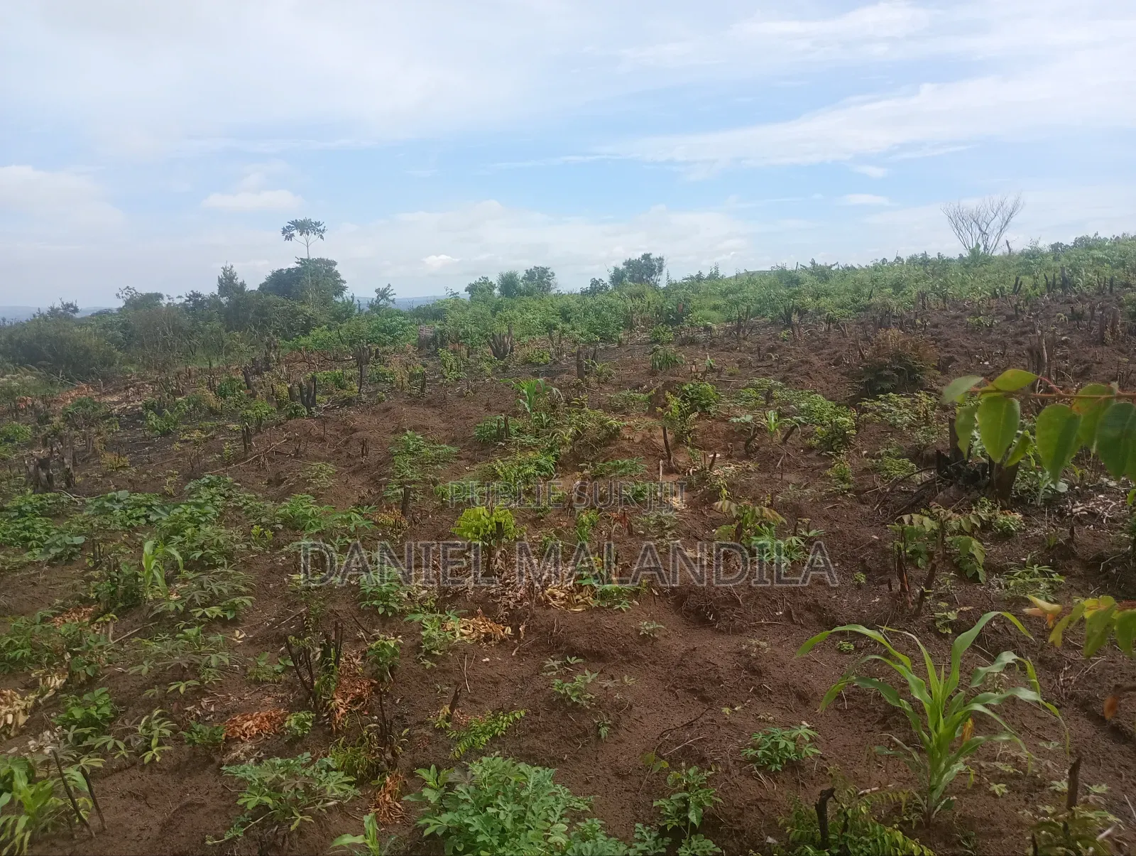 1 Terrain À Vendre, Visite Gratuite.