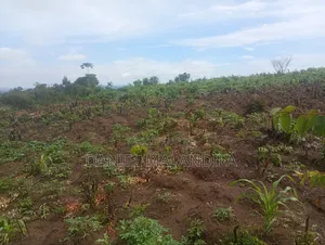 1 Terrain À Vendre, Visite Gratuite.