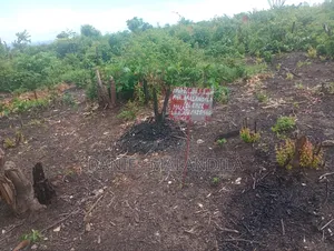 1 Terrain À Vendre, Visite Gratuite.