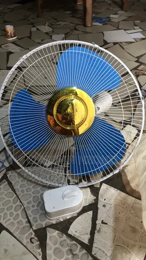 Ventilateur De Plafond Ou Murale