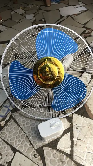 Ventilateur De Plafond Ou Murale