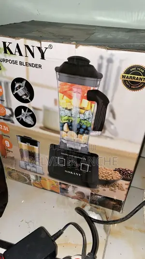 Mixeur Pour Les Pisé