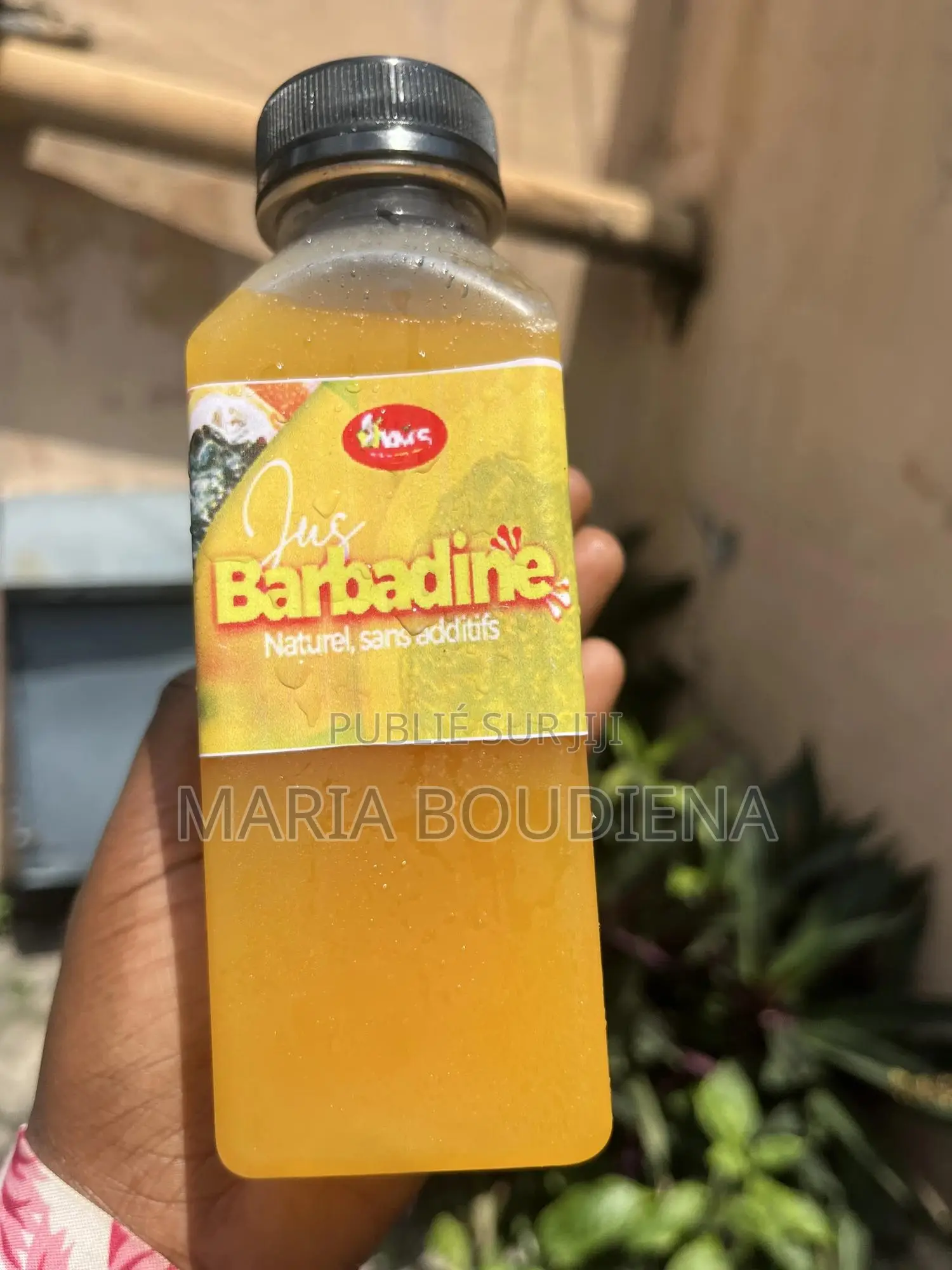 Jus De Fruit 100 % Naturel