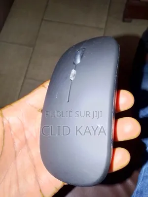Souris Sans Fil Chargeable