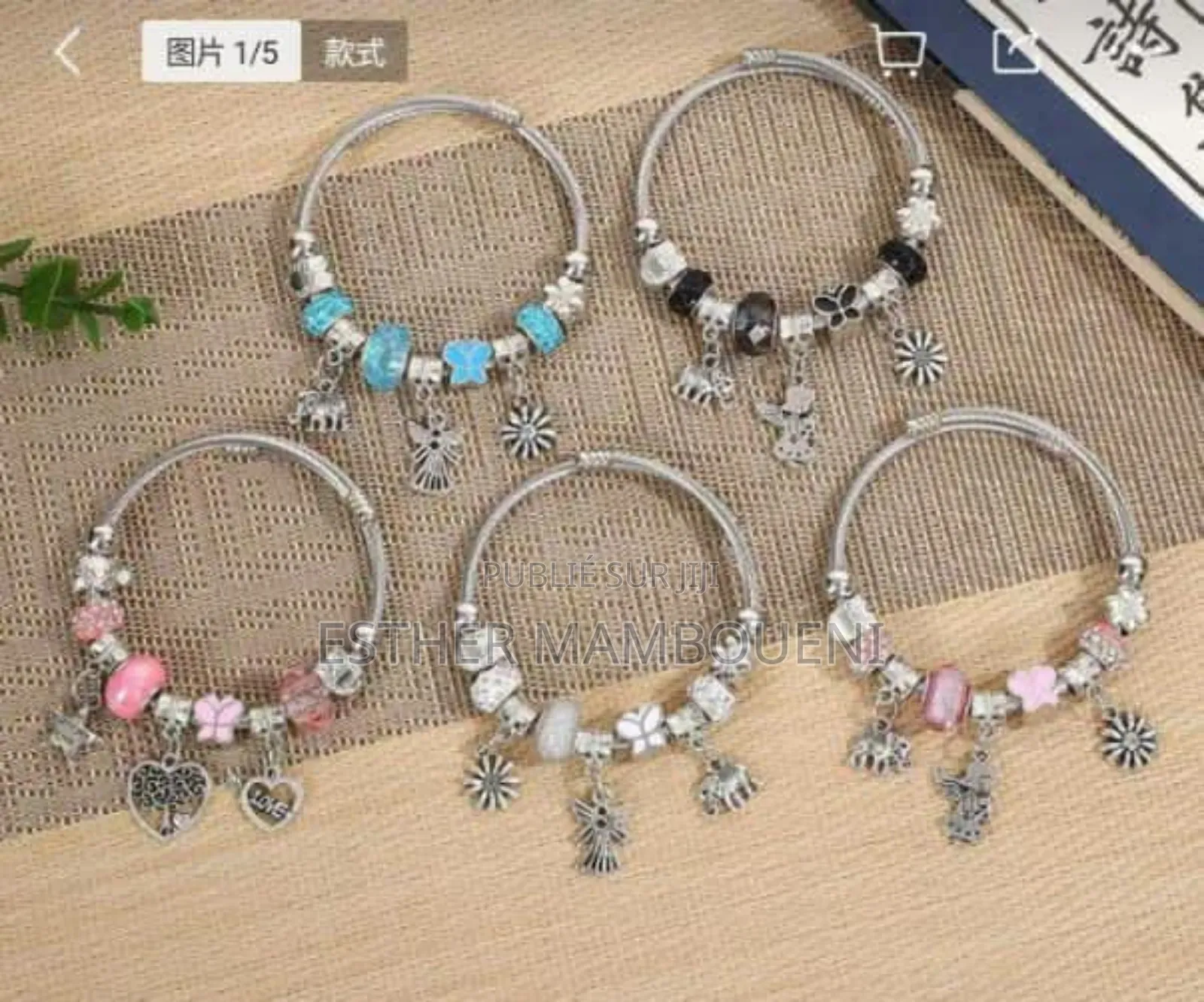 Accessoires Et Autres