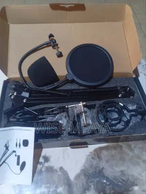 Condenser Microphone