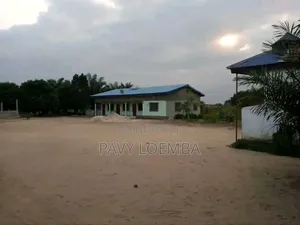 Terrain Vide À Vendre