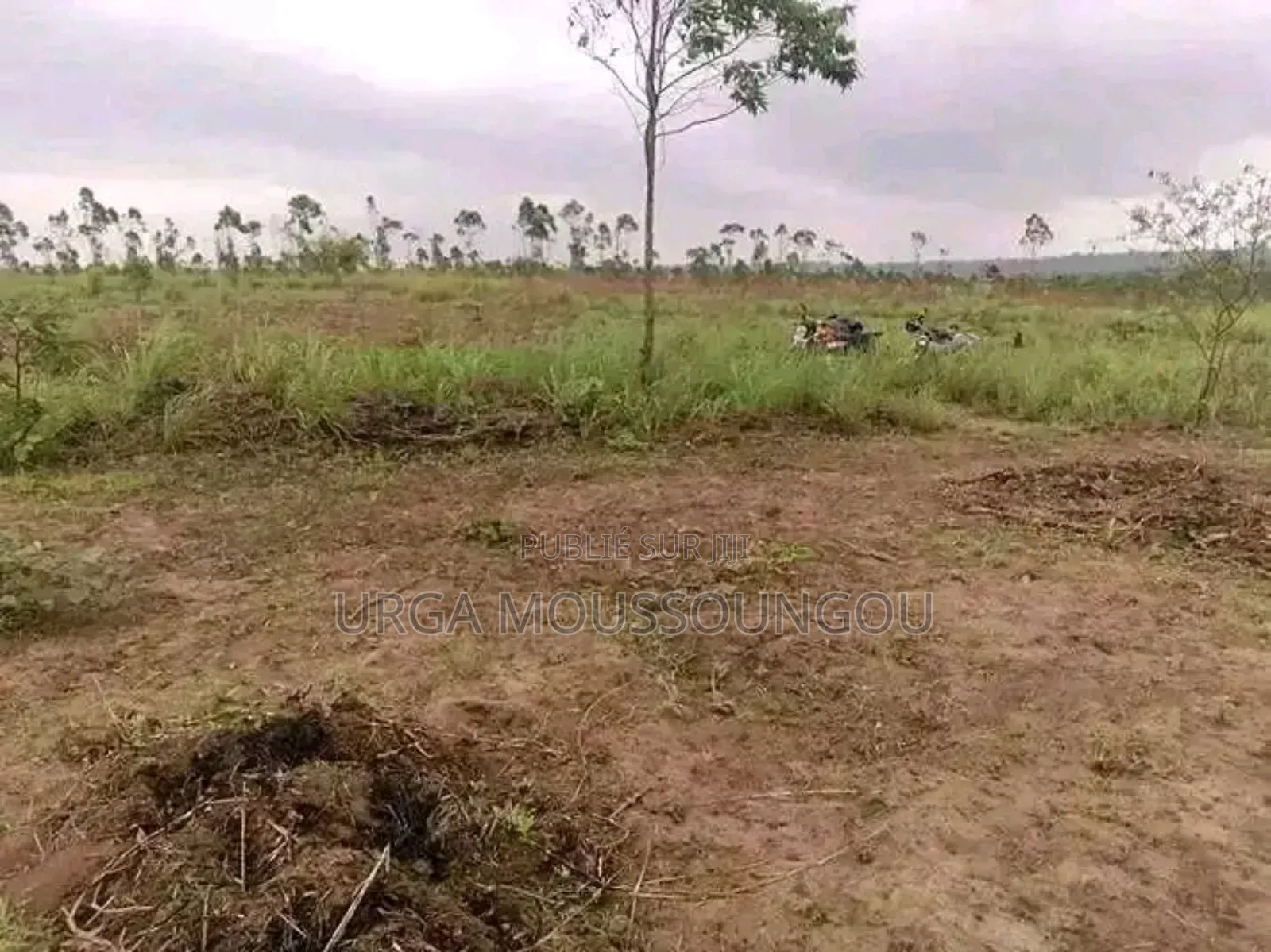Parcelle a Vendre À Pointe Noire