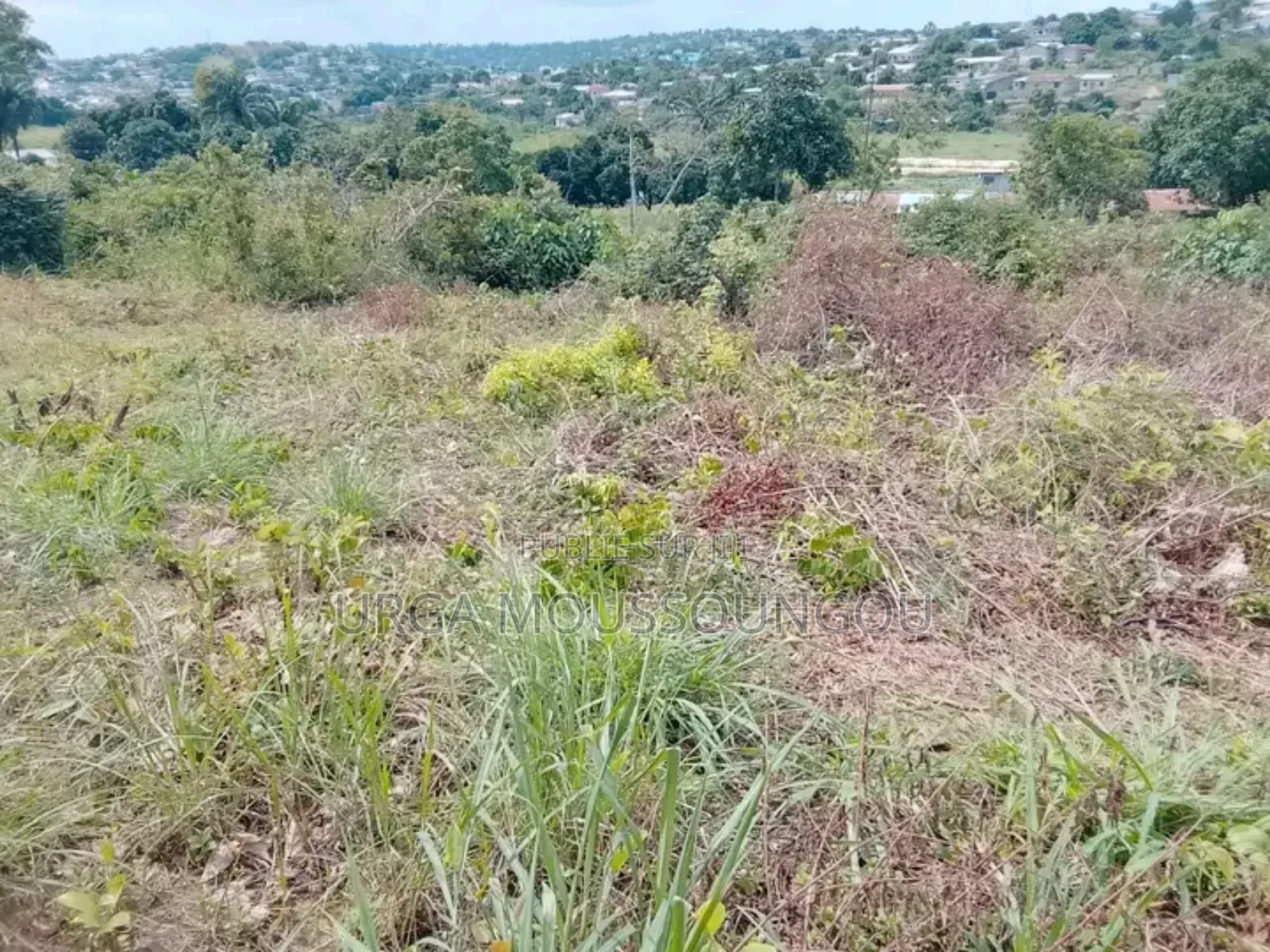 Parcelle a Vendre À Pointe Noire