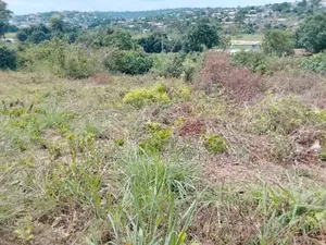Parcelle a Vendre À Pointe Noire