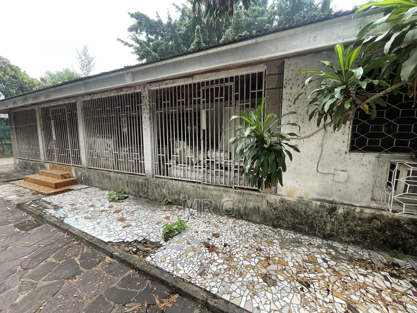 Parcelle De 1003 M Carrés Située Au Plateau-Ville