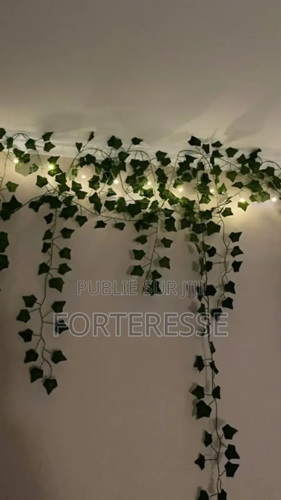 Lierre De Fleurs Vertes