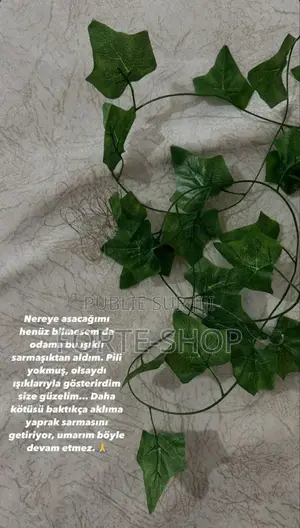 Lierre De Fleurs Vertes