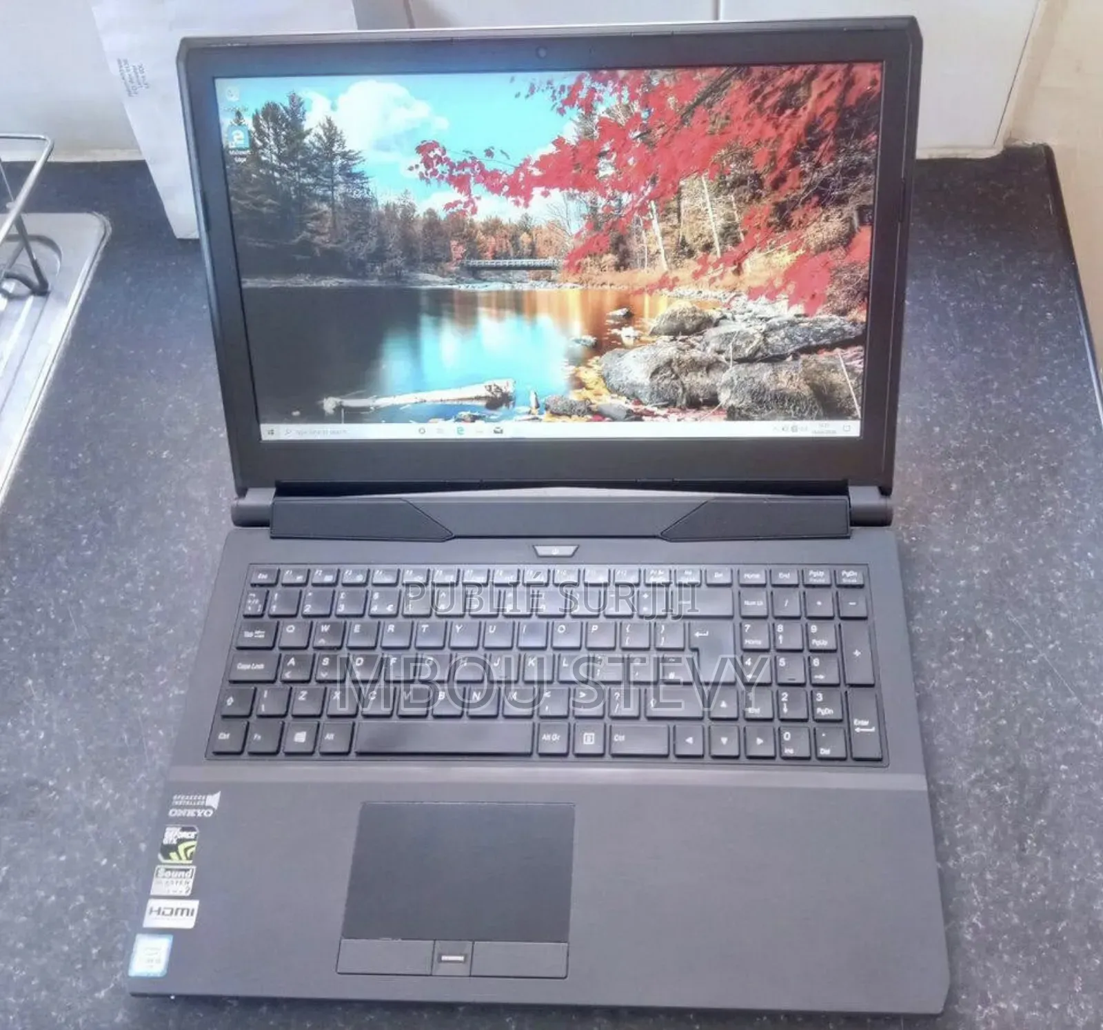 Ordinateur portable Hasee TWS 8GB Intel Core i5 HDD+SSD 500GB