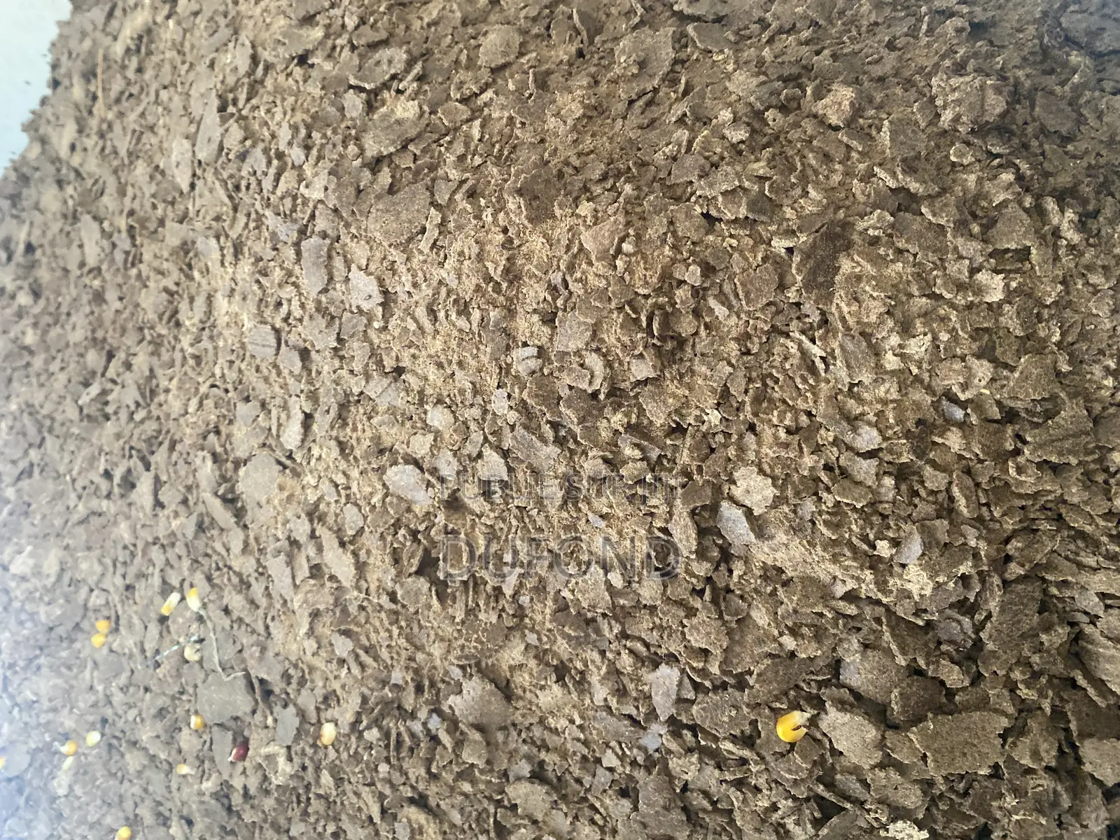 Tourteau D’Arachide