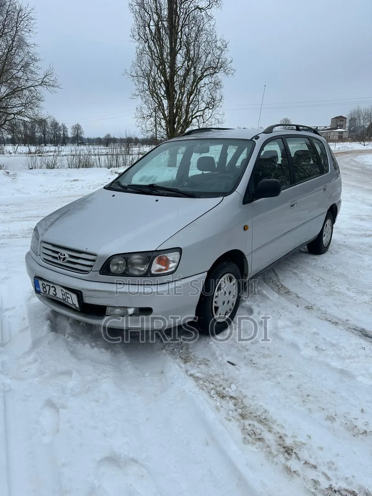 Toyota Picnic 2000 Gris