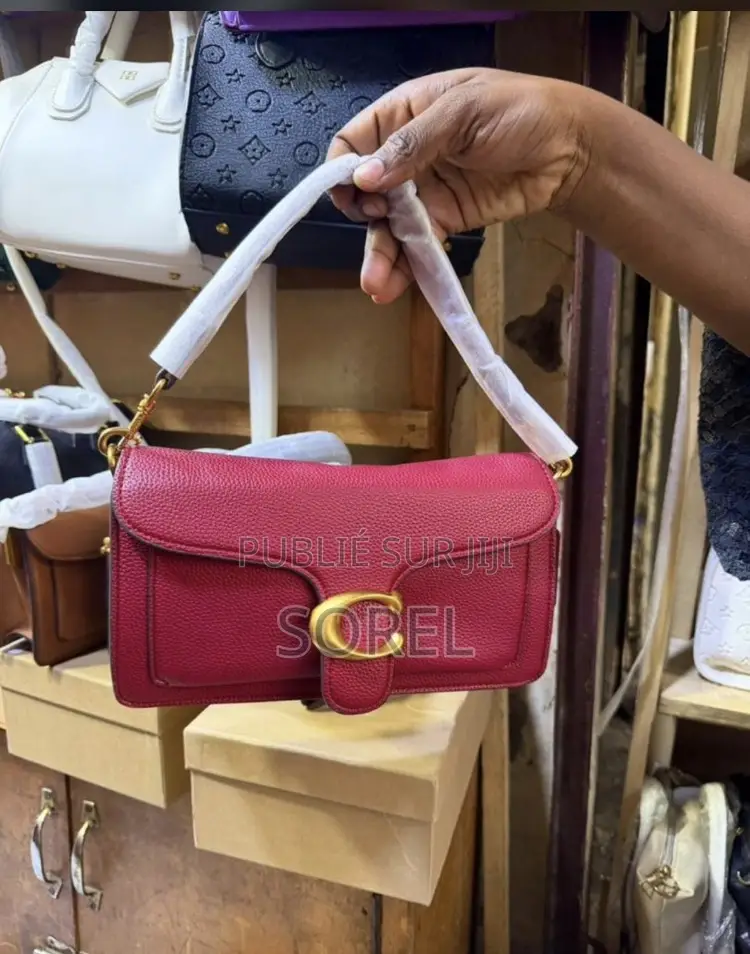 Sac Coach Dans Son Carton