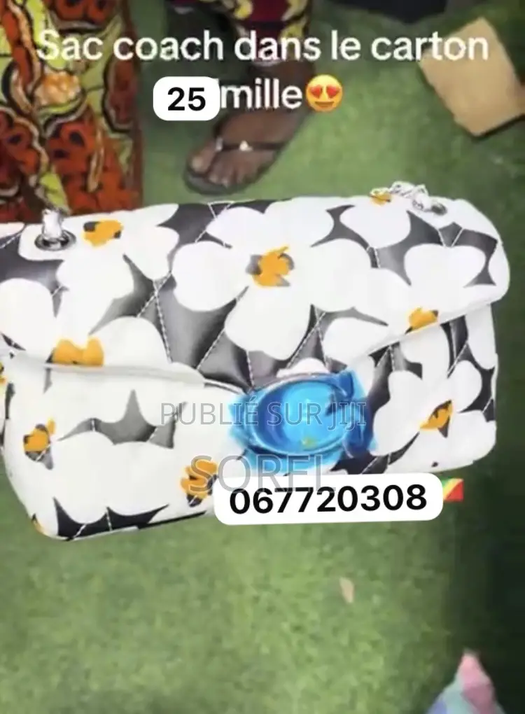 Sac Coach Dans Son Carton