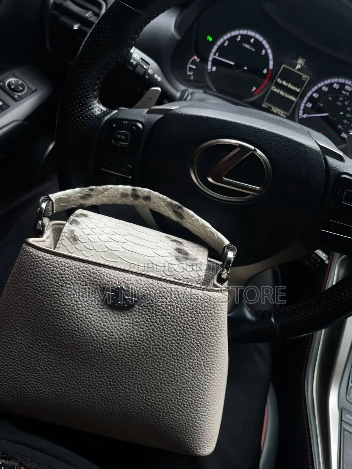 Miss Gail Dans Carton