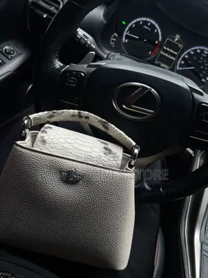 Miss Gail Dans Carton