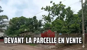 Parcelle a Vendre a Mafouta a Deux Parcelle Du Goudron Principal