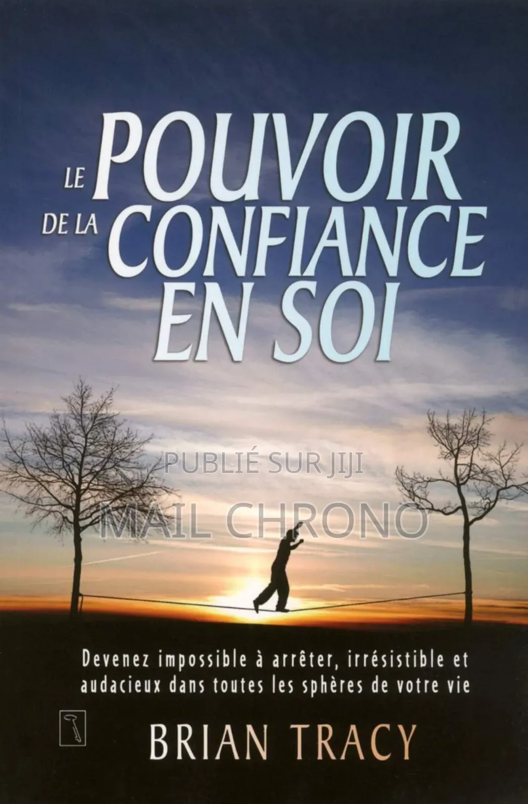 Pdf Le Pouvoir De La Confiance En Soi