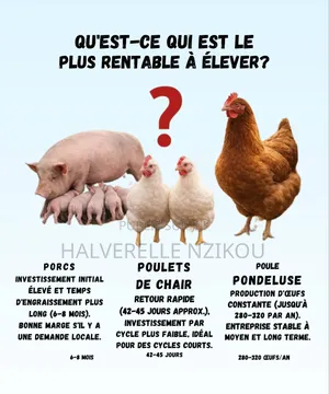 Coopérative Agropastorale Du Congo