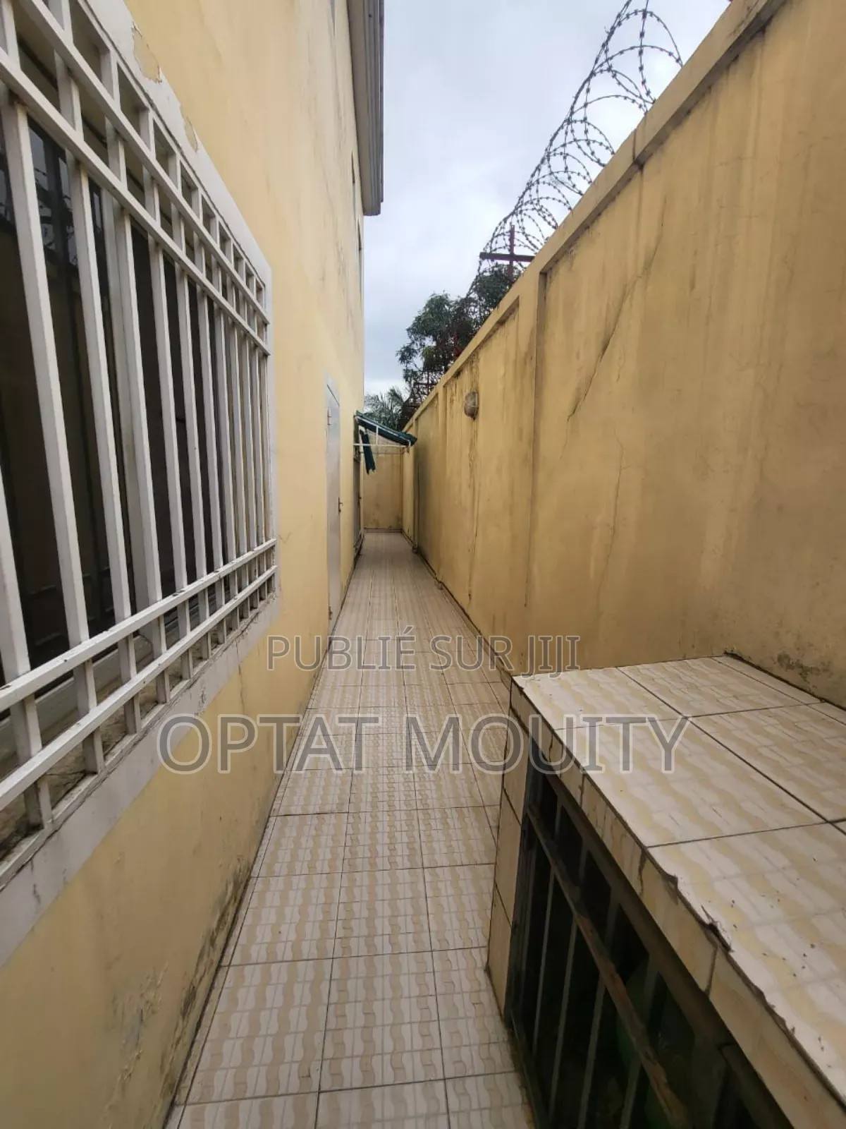 Maison Plein Pied Disponible