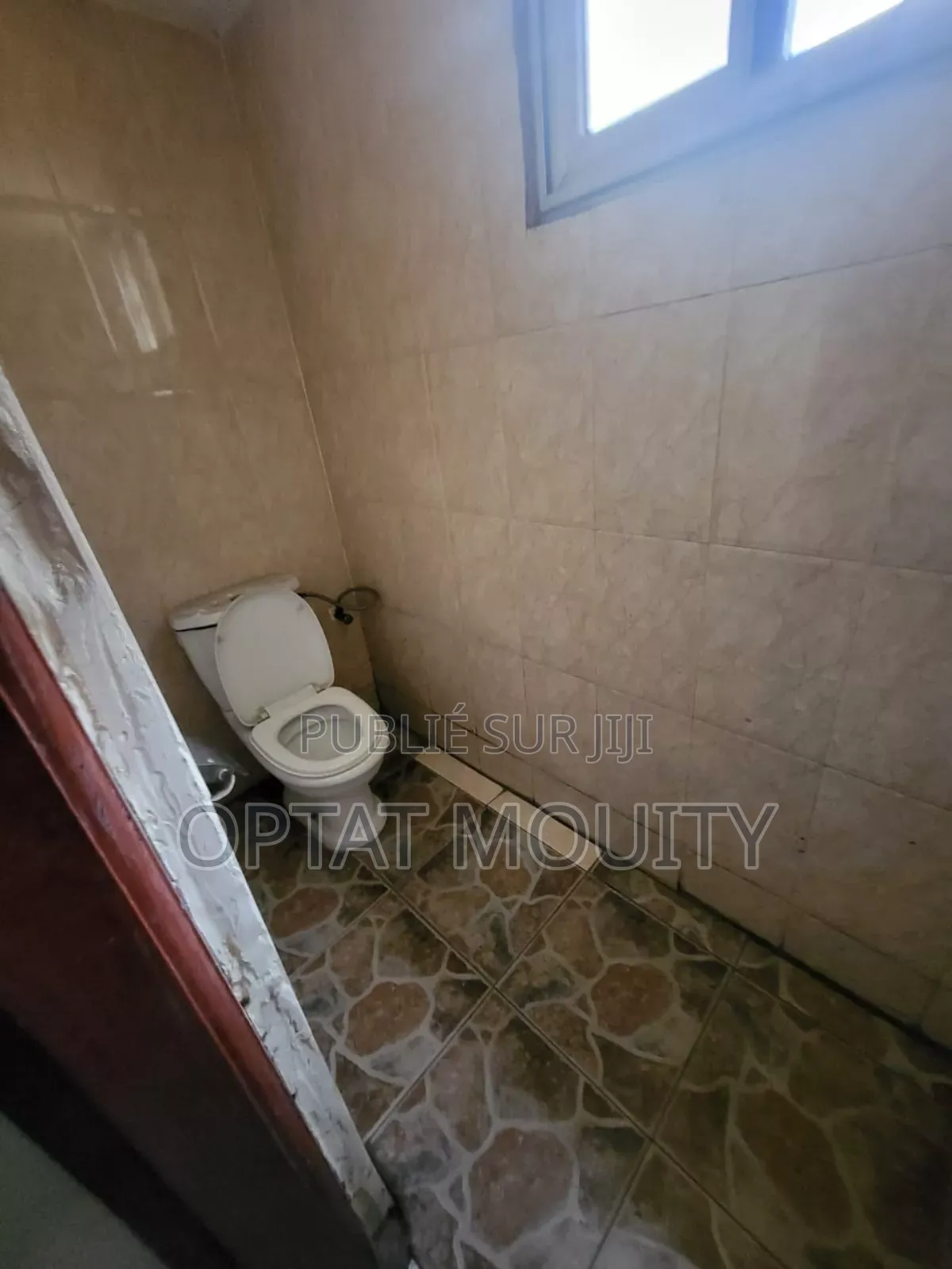 Maison Plein Pied Disponible