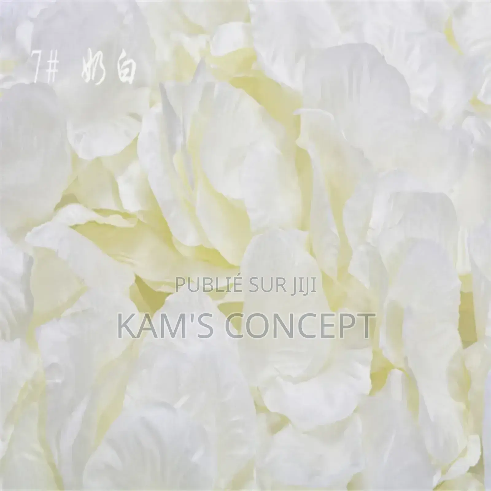 Sachet De 100 Pièces De Faux Pétales De Rose