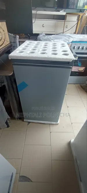 Congélateur De La Marque Roch 120l