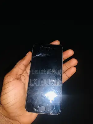 Apple iPhone 6 64 GB Gris