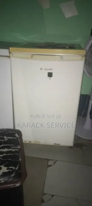 Réfrigérateur Encore en Bon État