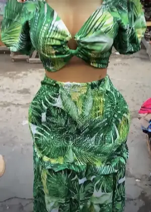 Les Robe Et La Jupe Avec Bisée