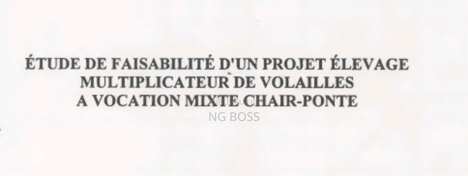 Appareils , Livres PDF Pour Les Entrepreneurs, Leaders, Pasteurs Etc