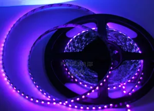 Jeux De Lumière 10m Autocollant