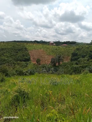 Terrain Vide À Vendre